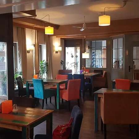 Milin Отель Райхенбах-им-Фогтланд