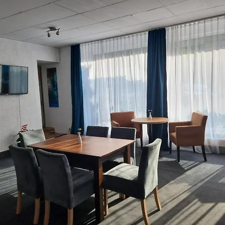 Milin Райхенбах-им-Фогтланд