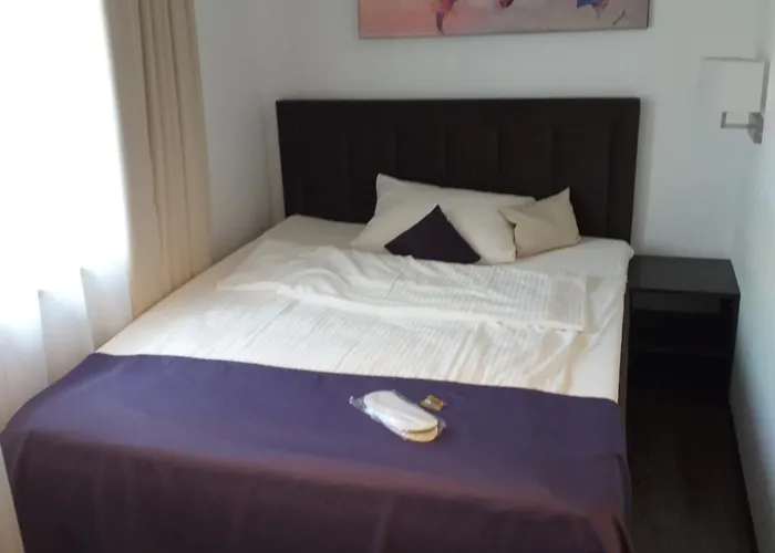 Milin Reichenbach im Vogtland